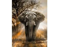 Diamond Painting Olifant in schemer - 40x50 cm - Ronde steentjes inclusief tools