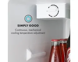 Réfrigérateur Klarstein Cool Kid - Mini- koelkast au design CompactCooling - Capacité : 65 litres - Classe d'efficacité Énergie E - 2 niveaux - Compartiment congélateur : 4 litres - Compartiment à bouteilles jusqu'à 2 litres - 41 dB - Argent