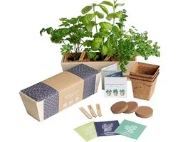 Kruiden Kweekset Starter Kit met Houten Kweekbak – Basilicum, Munt & Oregano – 3 Biologisch Afbreekbare Potjes – Kruiden Kweken voor Binnen