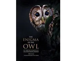 The Enigma of the Owl