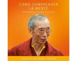 Cómo comprender la mente