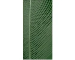 WallClassics - Poster (Matte) - Gros plan de Veines sur Feuille - 50x100 cm Photo sur Papier Poster avec un Aspect Mat