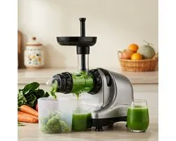 Byzoo Rhino Slow Juicer - Juicer - Cold press - Horizontaal - Met Pulpreservoir - verschillende zeven - Groenten en Fruitpers- BPA vrij - Grijs