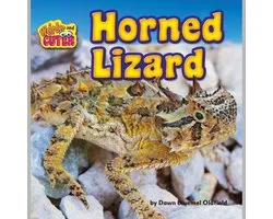 Horned Lizard