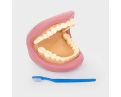 tickit® Giant Teeth Dental Kit