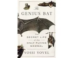 The Genius Bat