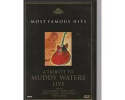 Muddy Waters Tribute: A Tribute To