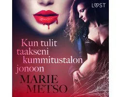 Kun tulit taakseni kummitustalon jonoon - eroottinen novelli