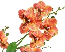 Candala Kunstbloem vlinder orchidee 38 cm met bladeren en luchtwortels in pot van keramiek kunstbloem kunstorchidee Phalaenopsis met pot kunstplant bruiloft decoratie zijden bloem Real Touch bloesem