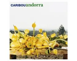 Caribou - Andorra (CD)