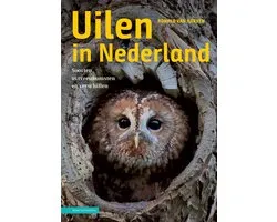 Uilen in Nederland