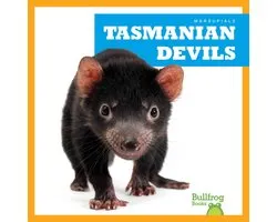 Marsupials- Tasmanian Devils