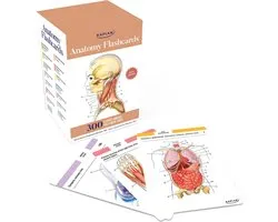 Anatomy Flashcards: 300 Flashcards With Anatomically Precise Drawings And Exhaustive Descriptions