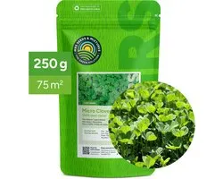 MRS Microclover Lawn - 250 grammes pour 75 m² - Engrais naturel et amendement du sol - Moins d'entretien - Convient à l'ombre et au soleil