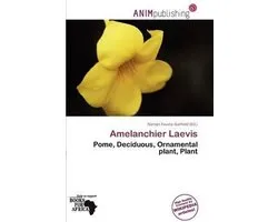 Amelanchier Laevis