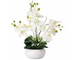 Kunstorchidee in Keramieken Pot 36 cm – Witte Phalaenopsis Kunstplant met Zijden Bloemen voor Woonkamer, Bureau en Tafeldecoratie