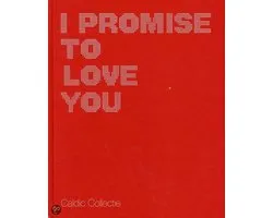 I promise to love you