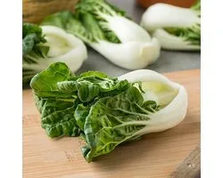 Chinese kool zaden - Pak Choi Canton Dwarf White