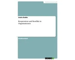 Kooperation und Konflikt in Organisationen