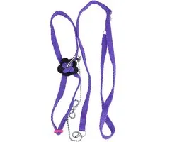 Verstelbare Vogeltuig Leash Zachte Papegaai Intelligentie Trainingsringen Speelgoed voor Budgie Parakeet Lovebird Finch Macaw Afrikaans Grijs Cockatoo Speltraining (Purple)