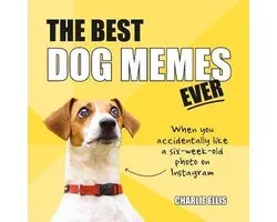 The Best Dog Memes Ever: The Funniest Relatable Memes as Told by Dogs