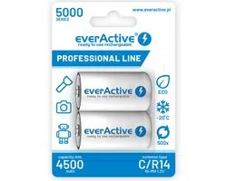 2 Stuks - R14 C 5000mAh herlaadbaar everActive Professional