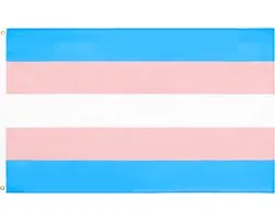 Drapeau transgenre - 90x150cm - Drapeau de la Pride - LGBTQ - Transgenre