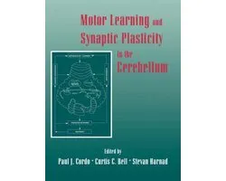 Motor Learning and Synaptic Plasticity in the Cerebellum