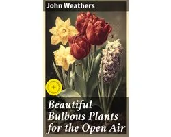 Beautiful Bulbous Plants for the Open Air