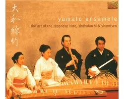 The Art Of The Japanese Koto
