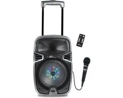 Bluetooth Karaoke avec roulettes, lumières et micro
