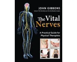 The Vital Nerves