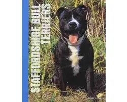 Staffordshire Bull Terriers