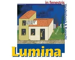 Lumina In Fenestris