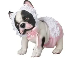 ASI DREAMS Pop - Lily Bulldog 32 Cm - Kleding - Wit/Roze