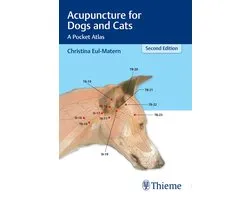 Acupuncture for Dogs and Cats