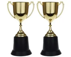 Gouden trofee/prijs beker met oren - 2x - 22 cm - met ruimte voor tekst - kunststof