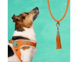 Jottum Orange Hondentuigje Maat 1 (25,5-27,5 cm)