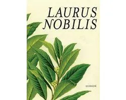 Laurus Nobilis