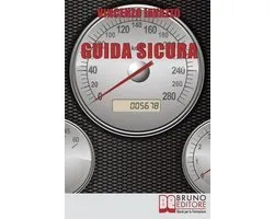 Guida Sicura