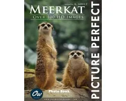 Picture Perfect Photo Book- Meerkat