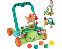 Fisher-Price Moves with You Schildpad Loopwagentje - duw- en activiteitenspeeltje met 5 Ballen