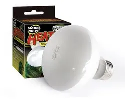 Éclairage de terrarium 40 watts - Culot E27 - Lampe UVA - lumière du jour