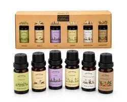 Set van 6 Geuroliën 10 ml – Home Perfume Aroma Olie Set – Bamboe, Fresh Cotton, Jasmijn, Sandelhout, Vanille & Salie – Inclusief Geschenkdoos