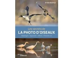 Secrets de photographes - Les secrets de la photo d'oiseaux