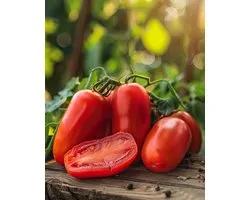 3 sets - Tomaat San Marzano Zaden Solanum Lycopersicum Eenjarig