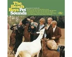 Pet Sounds 40th Anniversary (+ Bonus DVD)