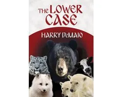 Octavius Bear 4 - The Lower Case