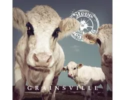Steve'n'Seagulls - Grainsville (CD)