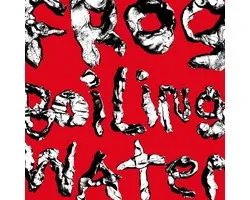 DIIV - Frog In Boiling Water (LP)